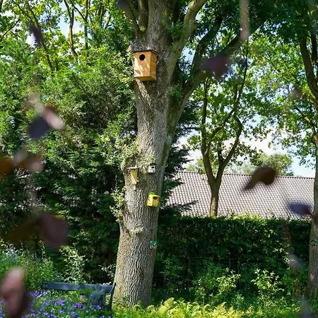 Kleine Beerze Vakantiehuis Hoogeloon