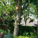Bbkleine Beerze Holiday home Hoogeloon