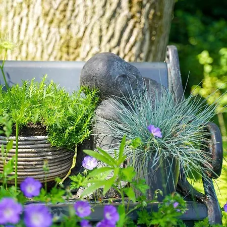 Nyaraló Bbkleine Beerze Hoogeloon