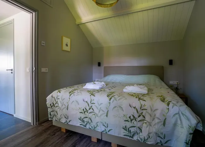 Bbkleine Beerze * Hoogeloon