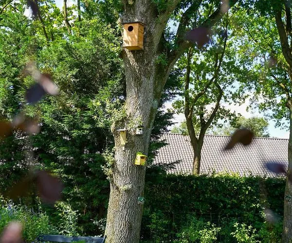 Bbkleine Beerze Dom wakacyjny Hoogeloon